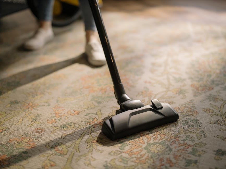 Pristine and deeply cleaned living room carpet